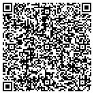 QR code with Pulaski Performing Arts Center contacts