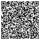 QR code with Pyramid Dance CO contacts