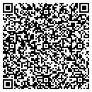 QR code with Psycho Therapy contacts