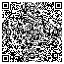 QR code with Providential Control contacts