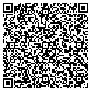 QR code with Cernitin America Inc contacts