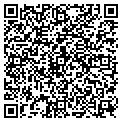 QR code with Curves contacts