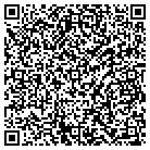 QR code with Professional Electronics & Electric Serv contacts