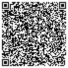 QR code with Public Consulting Group Inc contacts