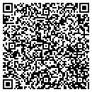 QR code with Cognisa Security contacts
