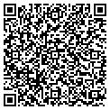 QR code with Cosmos contacts
