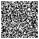 QR code with Capitol Signs Inc contacts