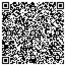 QR code with Carl's Corner Pocket contacts