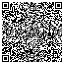 QR code with Cave Institute Inc contacts