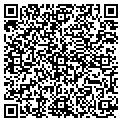 QR code with S Tog' contacts