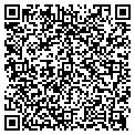 QR code with M & Ms contacts