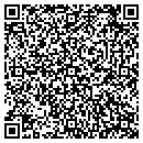 QR code with Cruzing Auto Detail contacts