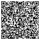 QR code with Protocol contacts