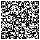 QR code with Pulse contacts