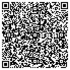 QR code with Spring Creek Enterprise LLC contacts