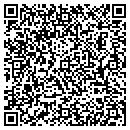 QR code with Puddy Place contacts