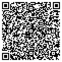 QR code with Bucket contacts