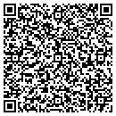 QR code with Carey Consulting LLC contacts