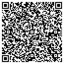 QR code with Premier Power Sports contacts