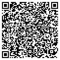 QR code with V Nail contacts