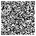 QR code with Bucket contacts