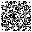 QR code with Pulp Juice & Smoothie Bar contacts