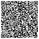 QR code with Public Service Commission contacts