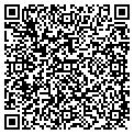 QR code with Cosi contacts