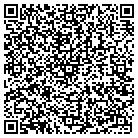 QR code with Public Health Strategies contacts