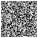 QR code with Collins Gunsmithing contacts