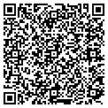 QR code with Tassels contacts
