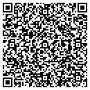 QR code with Boise Detail contacts