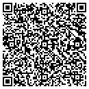 QR code with Blue Diamond Car Wash contacts