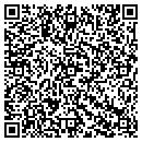 QR code with Blue Skies Firearms contacts