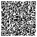 QR code with Cedars contacts