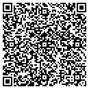 QR code with Carson Ridge Cabins contacts