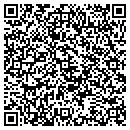QR code with Project South contacts