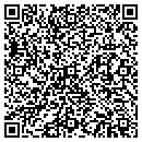 QR code with Promo Line contacts