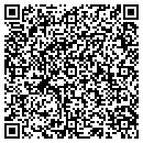 QR code with Pub Decor contacts