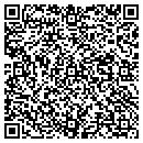 QR code with Precision Detailing contacts