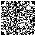 QR code with T Dot contacts