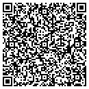 QR code with Pub & Patio contacts