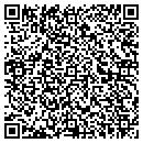 QR code with Pro detailing by joe contacts
