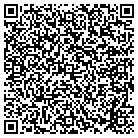 QR code with Premier Car Care contacts