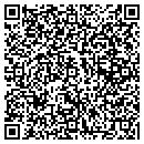 QR code with Briar Patch Gift Shop contacts