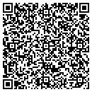 QR code with Pro Motions Group LLC contacts