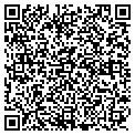 QR code with Teapot contacts