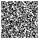 QR code with Protecting the Gift contacts
