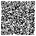 QR code with Super 8 contacts