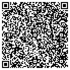 QR code with Anderson Lisa Wray CPA contacts